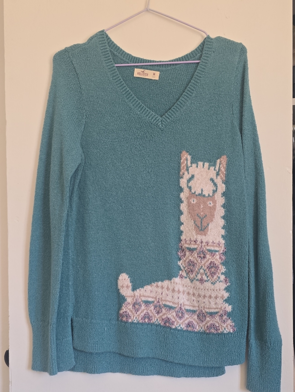 Hollister Teal V-Neck Sweater with Alpaca Graphic